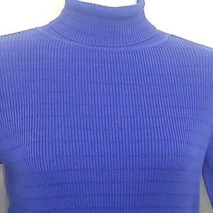 Kim Rogers Purple Sweater Royal Blue Sparkle Stripe Ribbed Knit Turtleneck Mediu